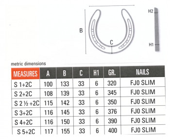 Sliding Hufeisen Double S mit 2 Kappen