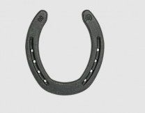 Double S Quarter Horse Back Thinkness Double S Quarter Horse Back Thinkness
