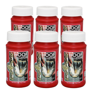 6er Pack Kevin Bacon's HOOF SOLUTION 150 g inkl. Pinsel