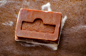 Kevin Bacon´s Active Soap
