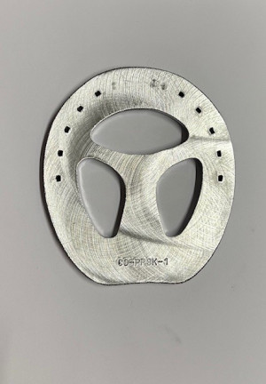 Hufeisen Colleoni CO-PPSK Schluß Combi