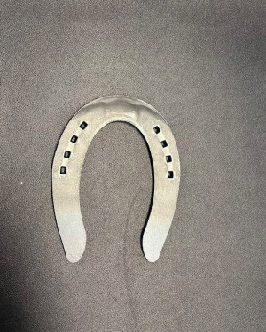 Double S Sliding Plates 1" Punched SL