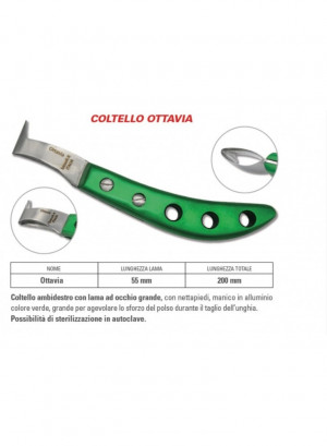 Hufmesser Bassoli Coltello Ottavia Loop Alu, grün rechts