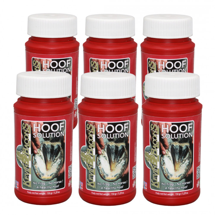 6er Pack Kevin Bacon's HOOF SOLUTION 150 g inkl. Pinsel
