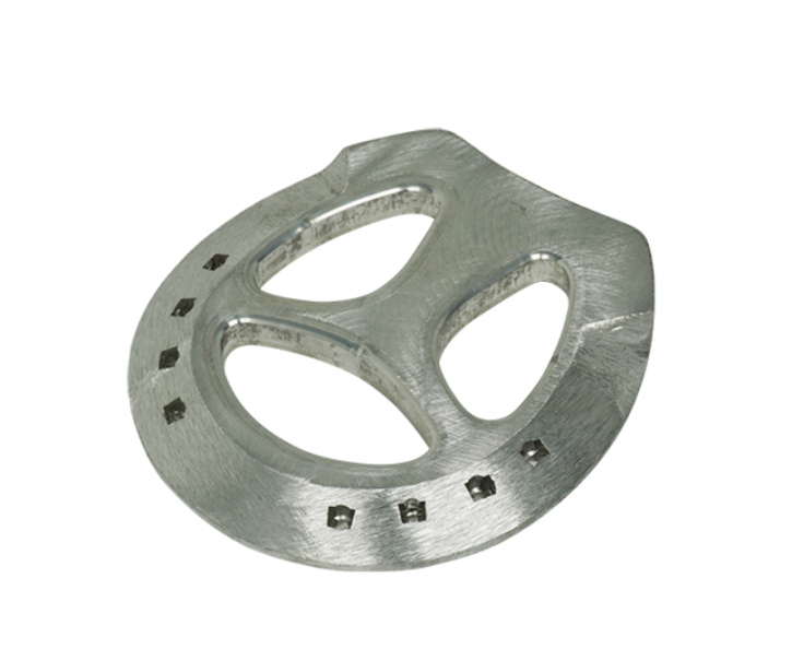 Hufeisen Colleoni CO-PRSCM 2