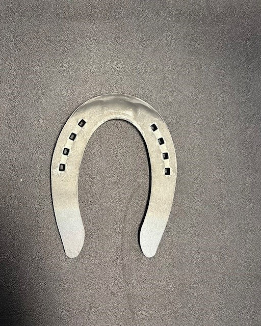 Double S Sliding Plates 1" Punched SL 1